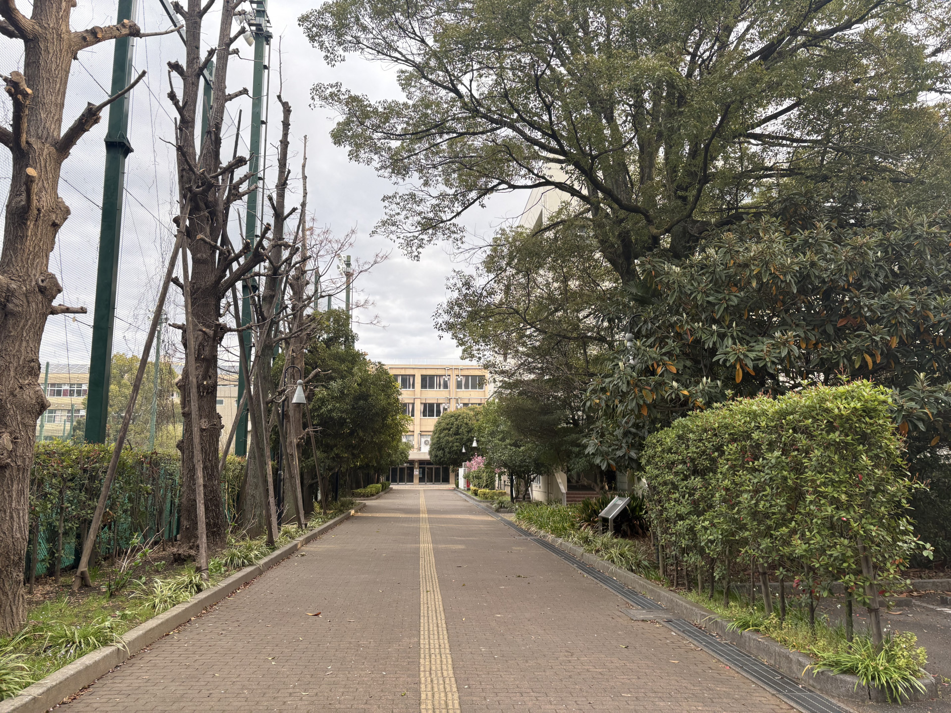 画像 -20260331-215420-5c218a96